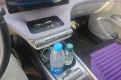 2022 BYD Dolphin 2021 405km Fashion #16