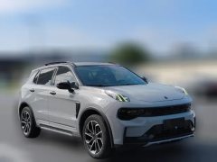 2023 Lynk & Co Lynk & Co 01 PHEV 2023 1.5TD AT EM-P morning lightEdition #3