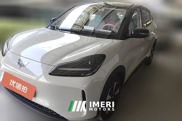 2025 Wuling Motors Wuling Bingo Plus 2024 330km 5SeatEdition