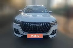 2023 Haval H6 2023 China tideEdition 1.5T AT Champion #2