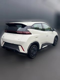 2023 BYD Seagull 2024 Glory 305km vitalityEdition #3