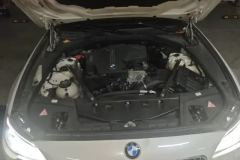 2016 BMW 5 Series(Imported) 2015 2.0T AT 520iElegant (Imported) #10