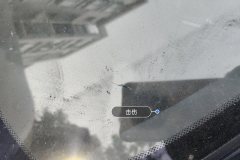Windshield