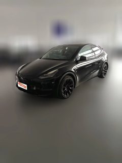 2021 Tesla Model Y 2021StandardBattery lifeRWDEdition #1