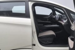 2025 BYD Dolphin 2025 Smart Drive 410km Fashion #22