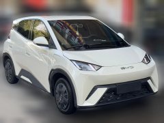2024 BYD Seagull 2024 Glory 305KM freeEdition #1