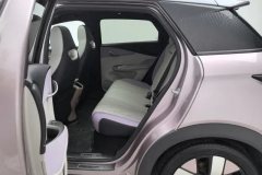 2024 BYD Dolphin 2025 520km knightEdition #19