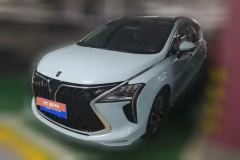 2022 Dongfeng Fengxing Fengxing Youting 2022 1.5T AT DCTChase the wavesEdition #1