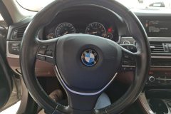 2017 BMW 5 Series 2017 2.0T AT 525LiLeading #15