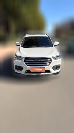 2019 Haval H2 2018 1.5T MT Create and enjoyEditionBlue LabelFashion #5