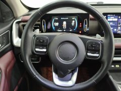 2023 Great Wall Great Wall Pao 2023 2.0TOff-roadATGasoline4WDEverestEdition #8