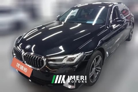 2021 BMW 5 Series 2021 2.0T AT 530LiLeadingLuxury Pkg