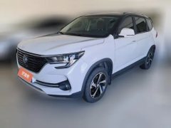 2021 Dongfeng Fengxing Fengxing T5 2020 1.6 MT Exclusive China VI #1