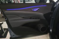 2025 BYD Sea Lion 07 DM-i 2025 150 Pilot+Edition #7