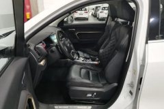 2020 Haval H6 2021 1.5T AT Champion #13