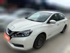 2019 Nissan Sylphy EV 2018 Smart Premium EV #1