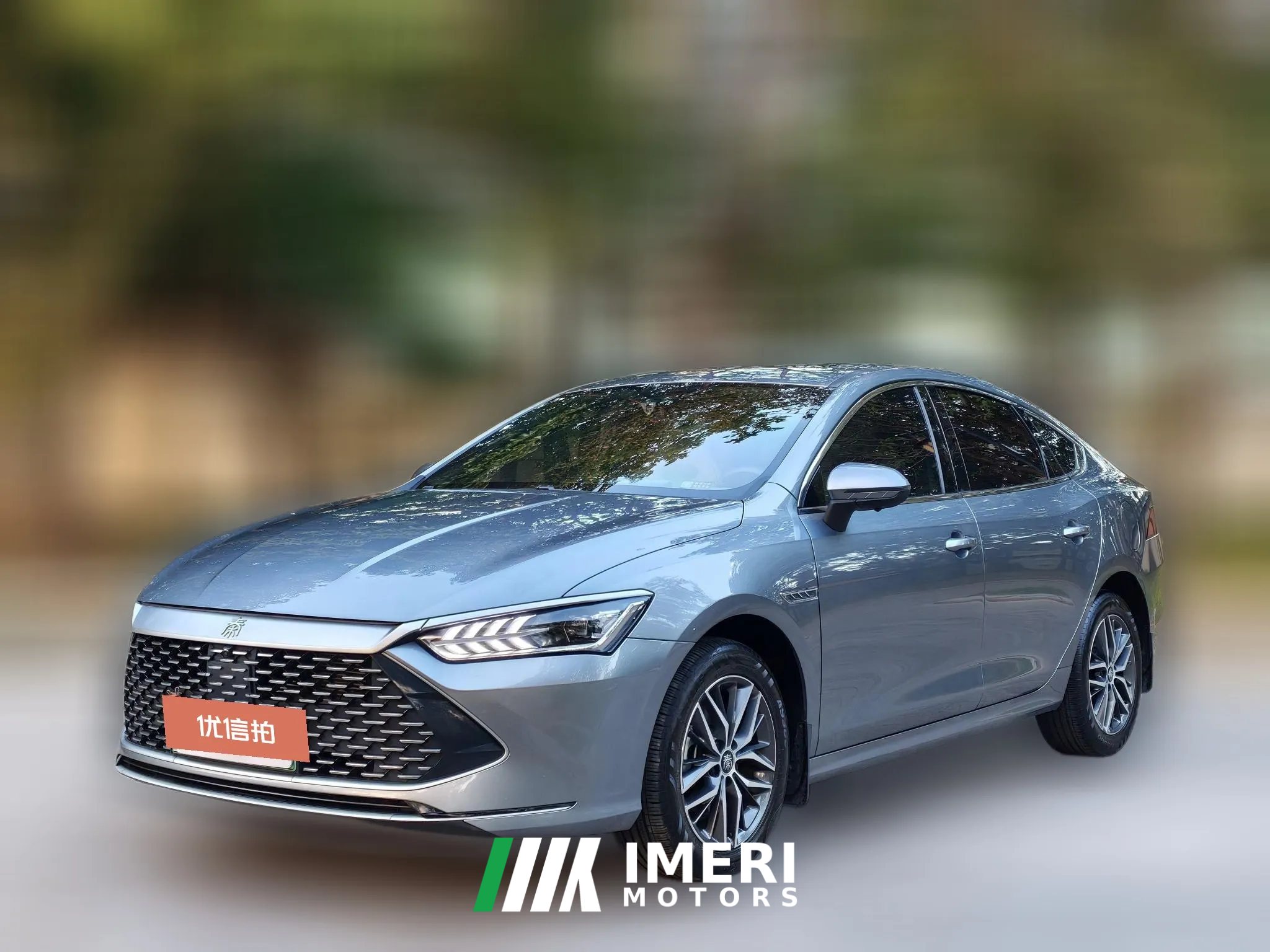 2023 BYD Qin Plus 2023 Champion DM-i 120KMLeading