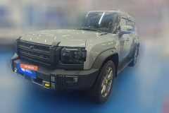 2024 Jetour Traveler 2023 2.0T AT 4WDconquer #1