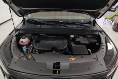 2025 Geely Auto Boyue 2024 1.5TD Dragon SoaringEdition #10