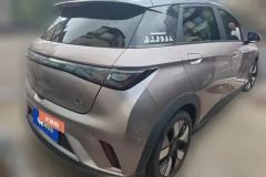 2022 BYD Dolphin 2021 401km knightEdition #3