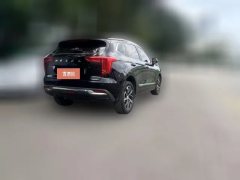 2021 Haval Chulian 2021 1.5T AT Large4Edition #7