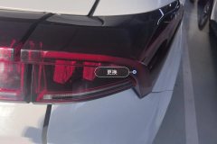 Right Rear Taillight Assembly