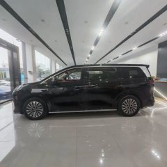 2025 BYD Xia 2025 DM-i 1.5T AT 180km excellence #10