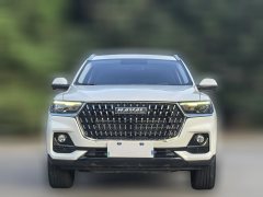 2022 Haval H6 2021 1.5T AT China tideChampionGDI #2