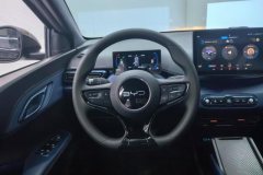 2025 BYD Seagull 2025 Smart Drive 305km vitalityEdition #15