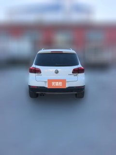 2015 Volkswagen Tiguan 2015 1.8T AT Luxury 4WD #3