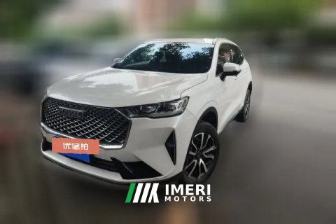 2024 Haval H6 2024 1.5T AT 2WDClassic