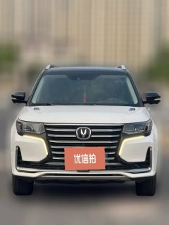 2021 Chang'an CS95 2019 2.0T AT Luxury FWD #2
