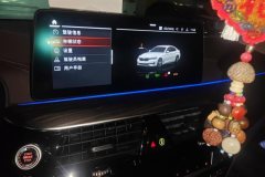 2021 BMW 5 Series 2021 2.0T AT 530LiLeadingLuxury Pkg #13