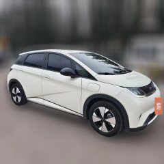 2024 BYD Dolphin 2023 420km freeEdition #3