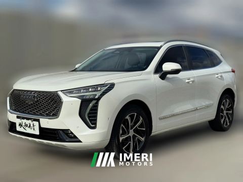 2021 Haval Chulian 2021 1.5T AT Large4Edition