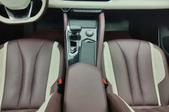 2024 Geely Auto Xingyue L 2024 2.0TD AT High power 2WDClouds riseEdition #16