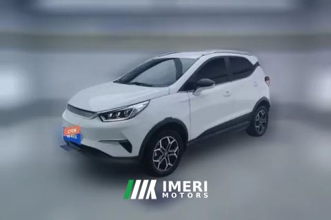 2022 BYD Yuan Pro 2021 401KM Luxury