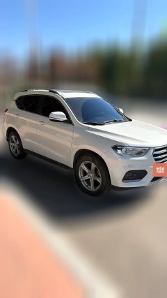 2019 Haval H2 2018 1.5T MT Create and enjoyEditionBlue LabelFashion #4
