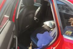 2019 Audi Q3 2018 1.4T AT 30TFSIFashionHeritage #11