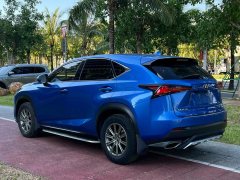2019 Lexus NX 2019 300h AT Million Limited Edition (Import) China VI #9