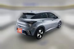 2023 BYD Dolphin 2023 420km Fashion #3