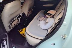 2023 Honda e:NP1 2023 510km Extremely bloomingEdition #11