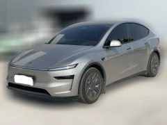 2025 Tesla Model Y L 2025 Long Range AWD Edition #1