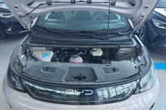 2025 BYD Dolphin 2025 Smart Drive 410km Fashion #10