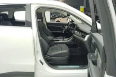 2021 Haval H6 2021 1.5T AT China tideChampion #8