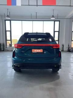 2022 Haval Chitu 2022 Power Enjoy 1.5T AT Copper Rabbit #8