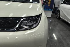 2024 BYD Dolphin 2024 Glory 420km Fashion #5