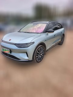 2022 Leapmotor C11 2021 Exclusive #1