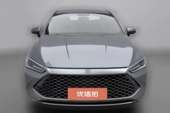 2023 BYD Qin Plus 2023 Champion 1.5 AT DM-i 55KMLeading #3
