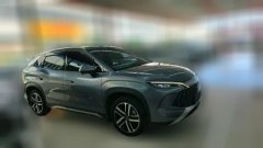 2024 BYD Song L DM-i 2024 1.5L AT 112km Leading #8